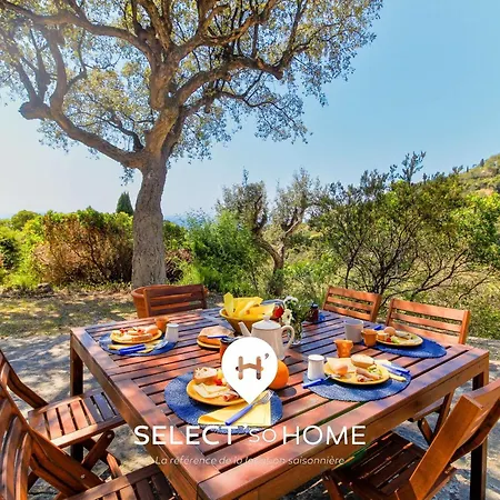 Select'sohome - Mas Des Canadels - Maison Pour 6 Personnes Avec Jardin Privé ! - Rcmas * Le Rayol-Canadel-sur-Mer